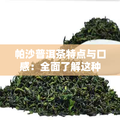 帕沙普洱茶特点与口感：全面了解这种茶叶的魅力与品鉴技巧