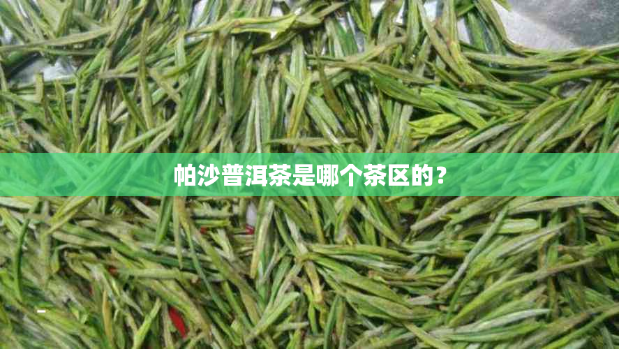 帕沙普洱茶是哪个茶区的？