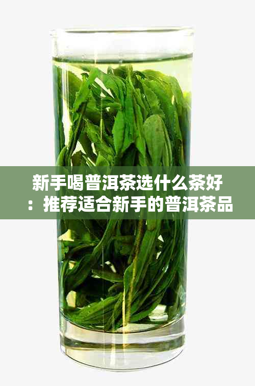 新手喝普洱茶选什么茶好：推荐适合新手的普洱茶品种