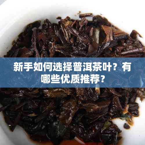 新手如何选择普洱茶叶？有哪些优质推荐？