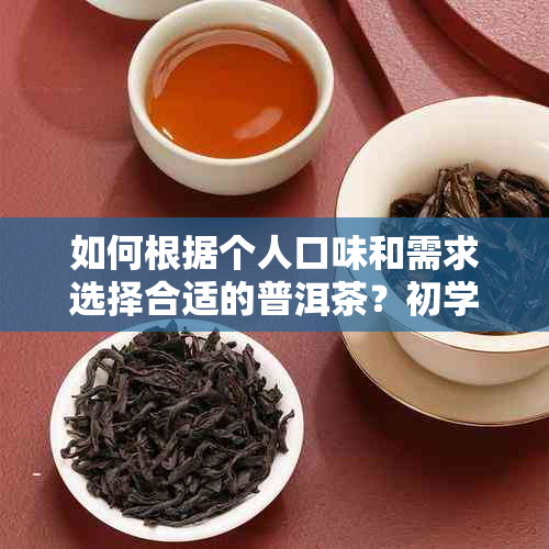 如何根据个人口味和需求选择合适的普洱茶？初学者指南