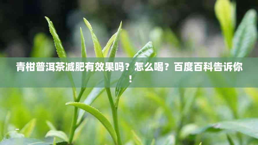 青柑普洱茶减肥有效果吗？怎么喝？百度百科告诉你！