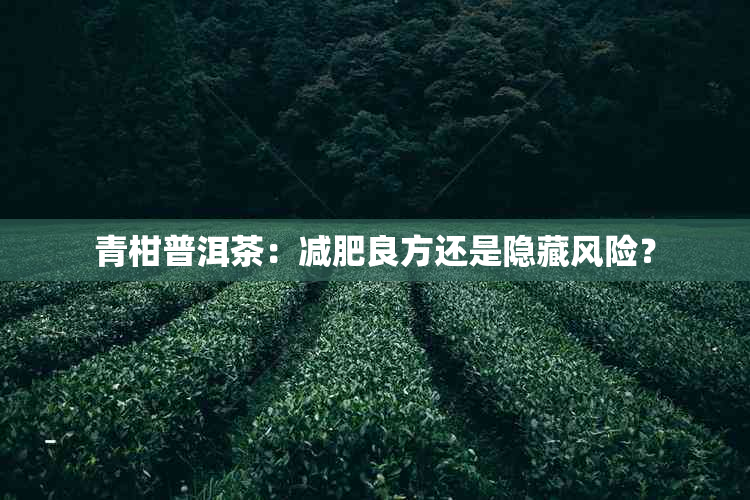 青柑普洱茶：减肥良方还是隐藏风险？