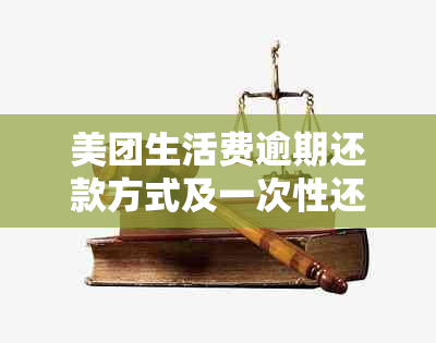 美团生活费逾期还款方式及一次性还清的可行性探讨