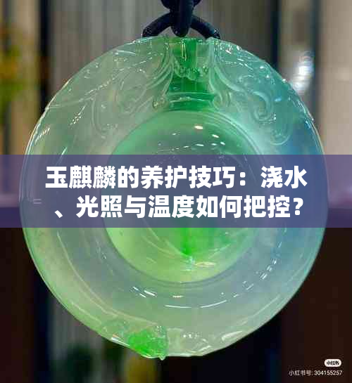 玉麒麟的养护技巧：浇水、光照与温度如何把控？