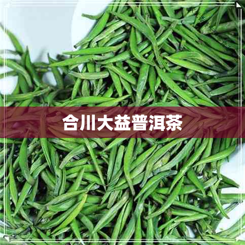 合川大益普洱茶