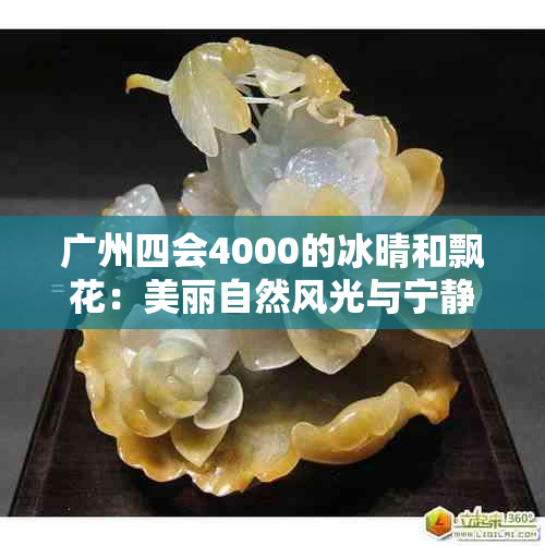 广州四会4000的冰晴和飘花：美丽自然风光与宁静生活的结合