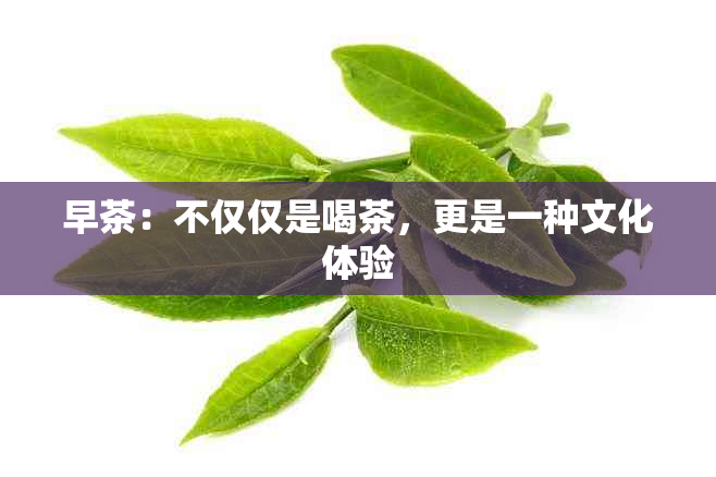 早茶：不仅仅是喝茶，更是一种文化体验