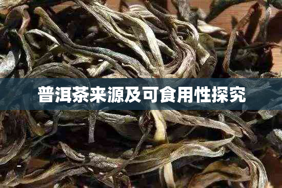 普洱茶来源及可食用性探究