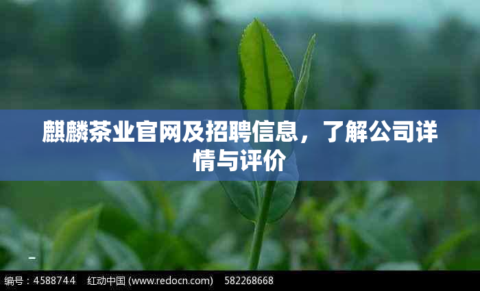 麒麟茶业官网及招聘信息，了解公司详情与评价