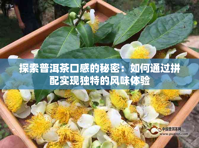 探索普洱茶口感的秘密：如何通过拼配实现独特的风味体验