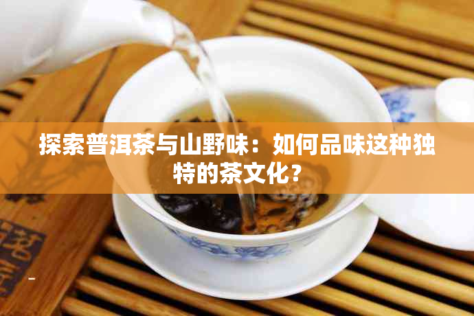 探索普洱茶与山野味：如何品味这种独特的茶文化？