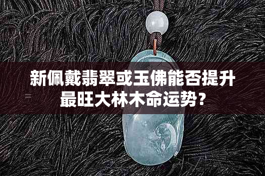 新佩戴翡翠或玉佛能否提升最旺大林木命运势？