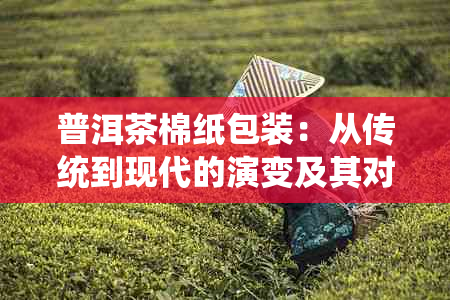 普洱茶棉纸包装：从传统到现代的演变及其对茶叶品质的影响