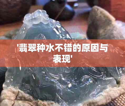 '翡翠种水不错的原因与表现'