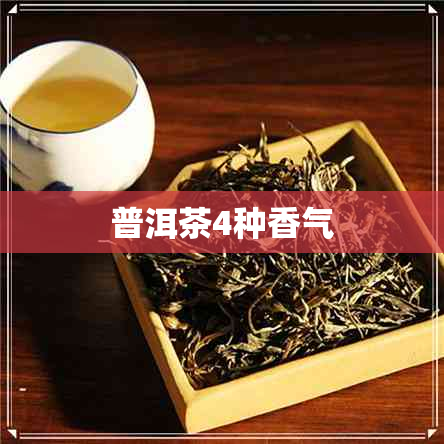 普洱茶4种香气