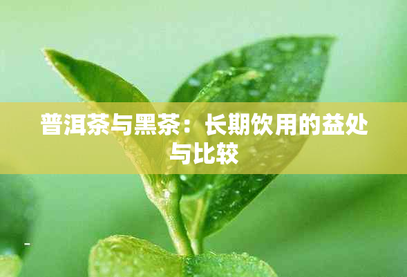 普洱茶与黑茶：长期饮用的益处与比较