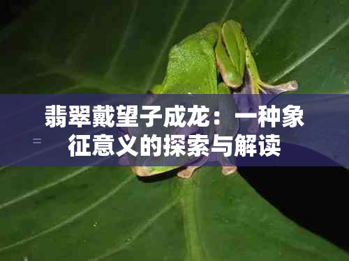 翡翠戴望子成龙：一种象征意义的探索与解读