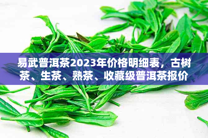 易武普洱茶2023年价格明细表，古树茶、生茶、熟茶、收藏级普洱茶报价大全