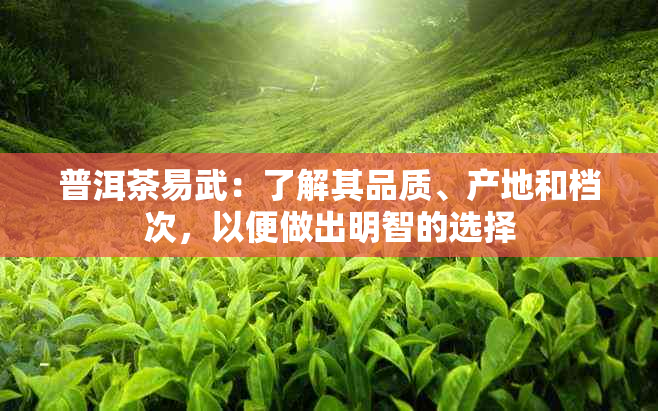 普洱茶易武：了解其品质、产地和档次，以便做出明智的选择