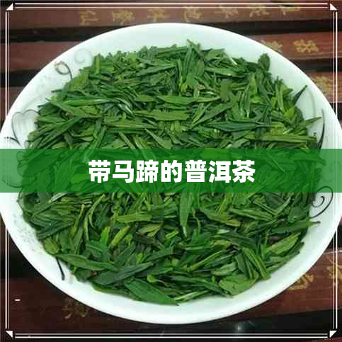 带马蹄的普洱茶