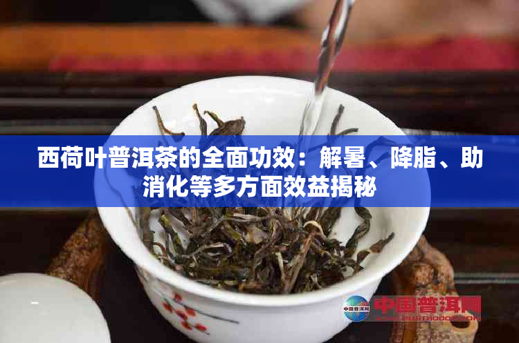 西荷叶普洱茶的全面功效：解暑、降脂、助消化等多方面效益揭秘