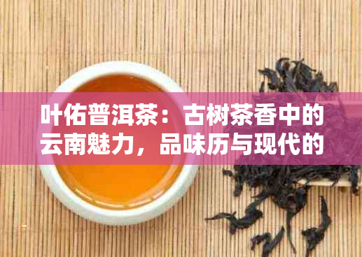 叶佑普洱茶：古树茶香中的云南魅力，品味历与现代的完美交融