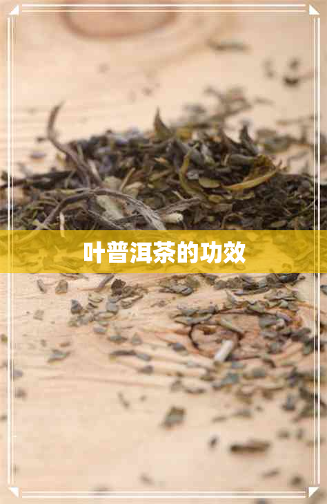 叶普洱茶的功效