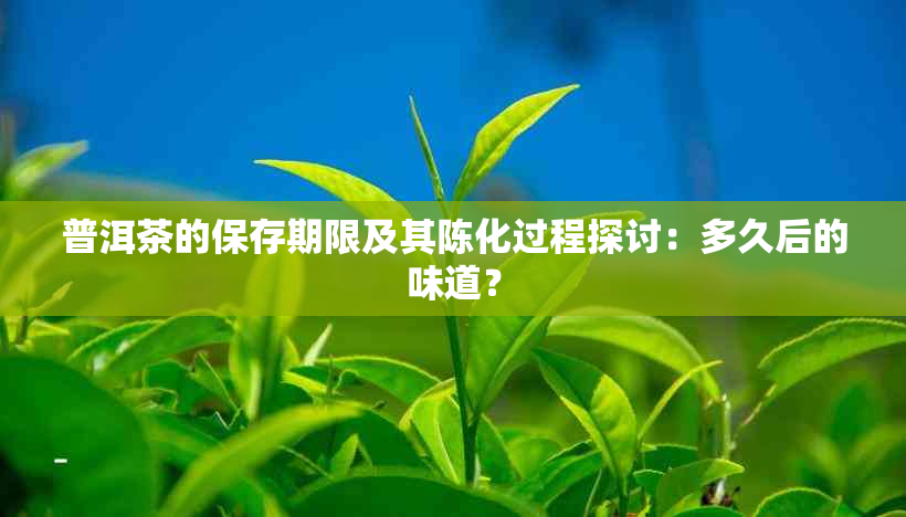 普洱茶的保存期限及其陈化过程探讨：多久后的味道？