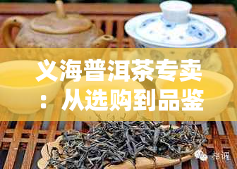 义海普洱茶专卖：从选购到品鉴，一站式解答您的普洱茶疑问与需求