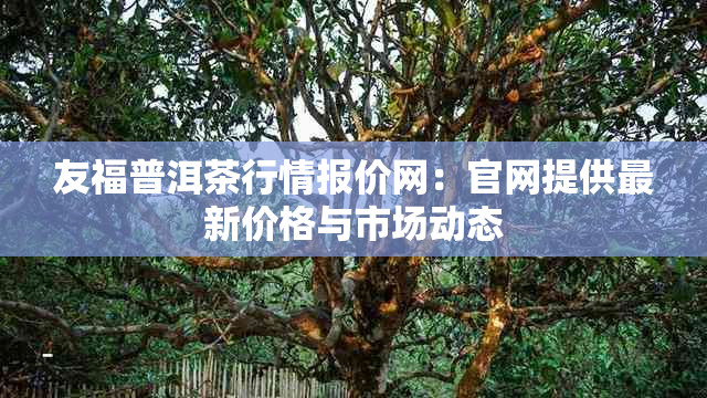 友福普洱茶行情报价网：官网提供最新价格与市场动态