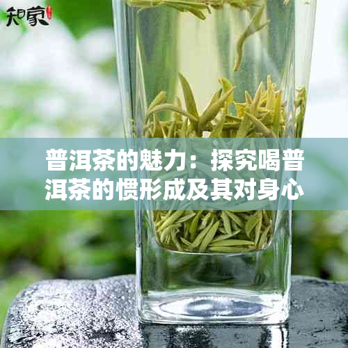 普洱茶的魅力：探究喝普洱茶的惯形成及其对身心的影响