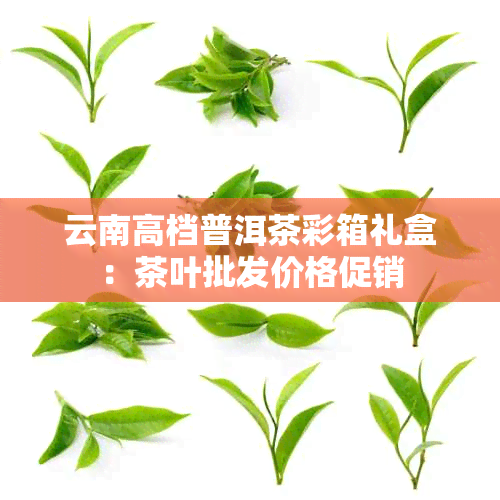 云南高档普洱茶彩箱礼盒：茶叶批发价格促销