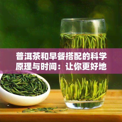 普洱茶和早餐搭配的科学原理与时间：让你更好地享受健生活