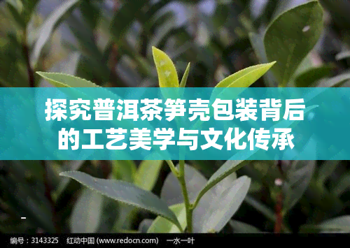 探究普洱茶笋壳包装背后的工艺美学与文化传承