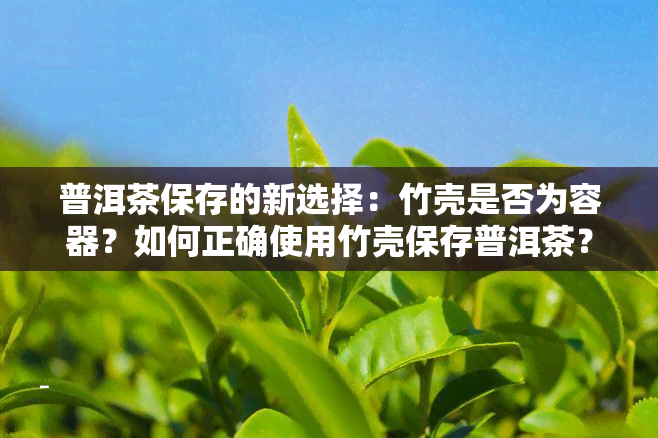 普洱茶保存的新选择：竹壳是否为容器？如何正确使用竹壳保存普洱茶？