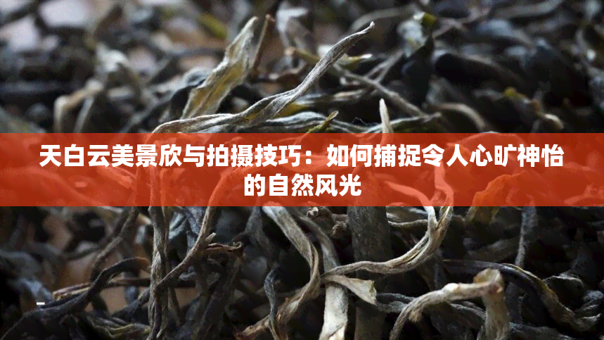 天白云美景欣与拍摄技巧：如何捕捉令人心旷神怡的自然风光