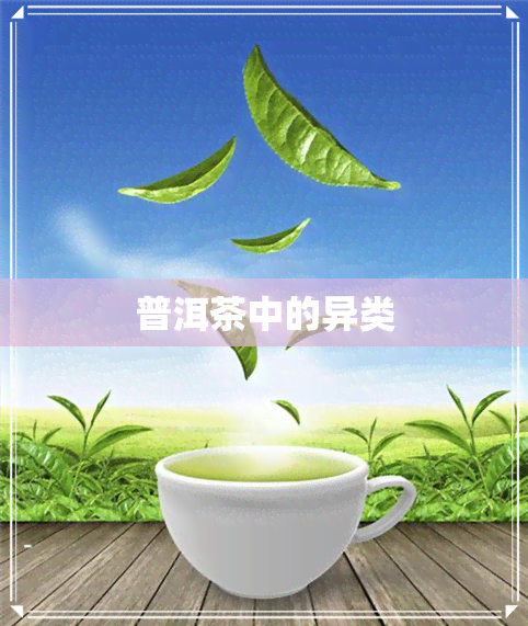 普洱茶中的异类