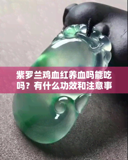 紫罗兰鸡血红养血吗能吃吗？有什么功效和注意事项？