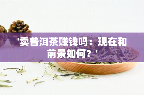 '卖普洱茶赚钱吗：现在和前景如何？'