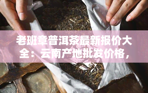 老班章普洱茶最新报价大全：云南产地批发价格，一站式采购