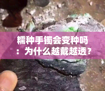 糯种手镯会变种吗：为什么越戴越透？戴久了会变透吗？