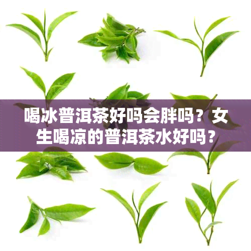 喝冰普洱茶好吗会胖吗？女生喝凉的普洱茶水好吗？