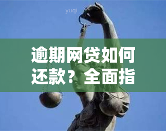 逾期网贷如何还款？全面指南解决用户疑问