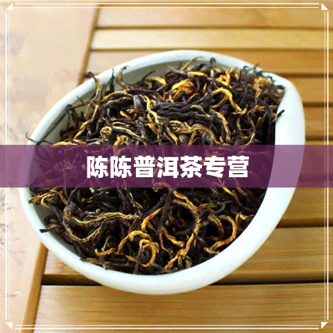 陈陈普洱茶专营