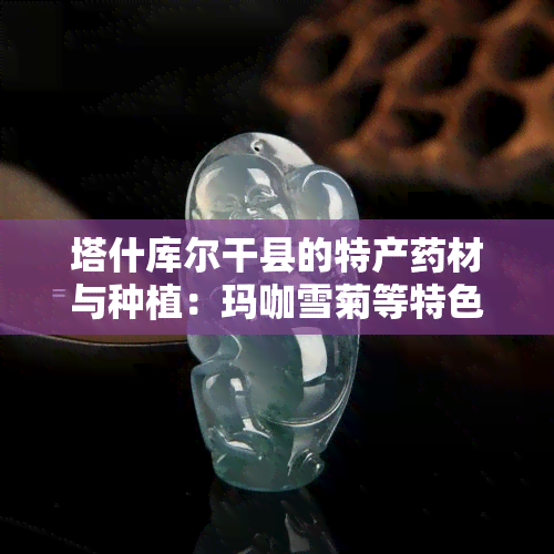 塔什库尔干县的特产材与种植：玛咖雪菊等特色介绍