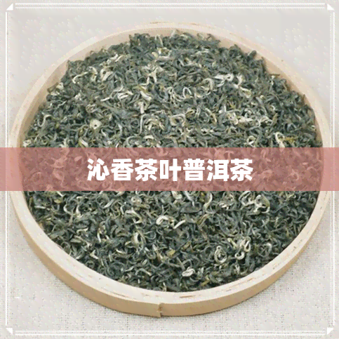 沁香茶叶普洱茶