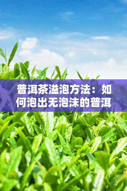 普洱茶溢泡方法：如何泡出无泡沫的普洱茶？