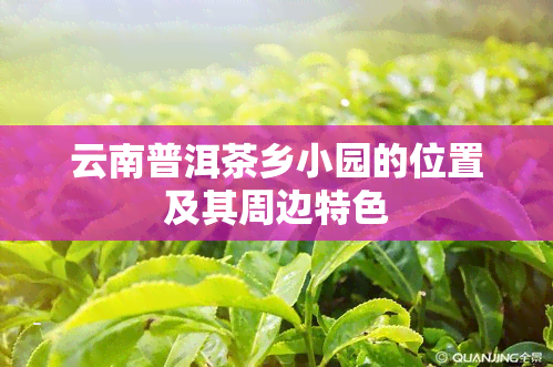 云南普洱茶乡小园的位置及其周边特色