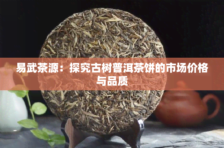 易武茶源：探究古树普洱茶饼的市场价格与品质